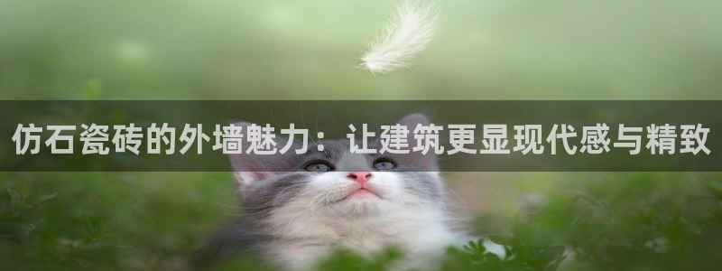 华润娱乐总管是谁呀老板