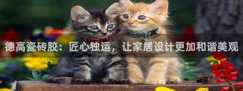 云顶娱乐华润