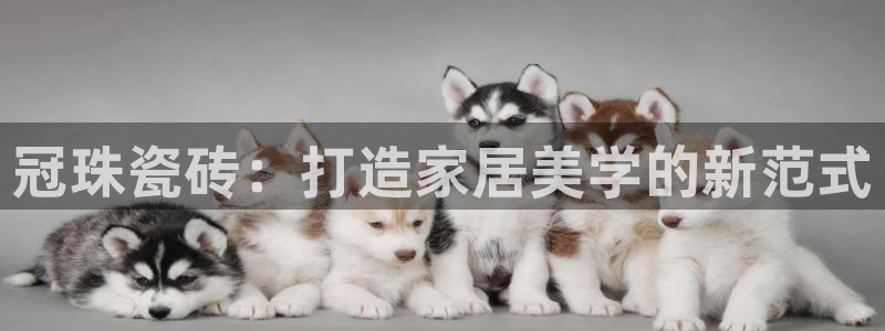华润娱乐地址查询