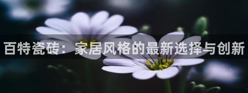 华润娱乐进