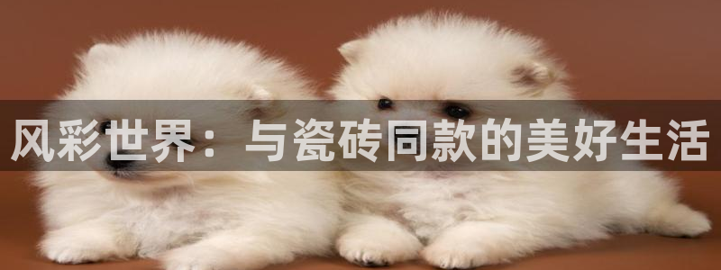 华润娱乐紫92222
