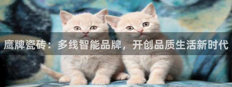 华润娱乐舱122222