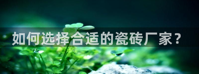 华润娱乐巾67五壹叁八