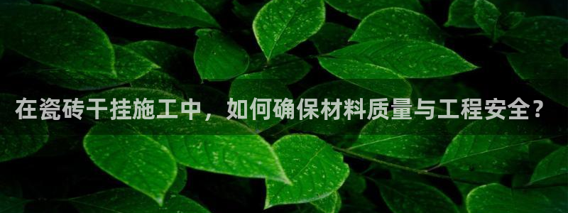 华润娱乐前