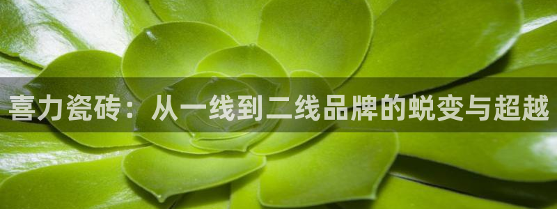 华润娱乐天7O667