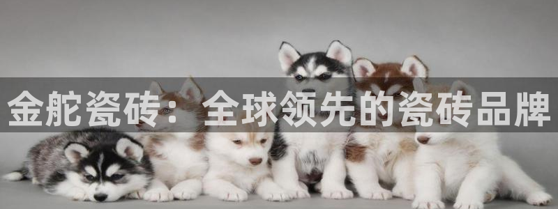 华润娱乐日5指尖