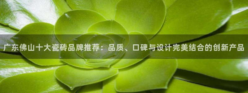 华润娱乐qv87555