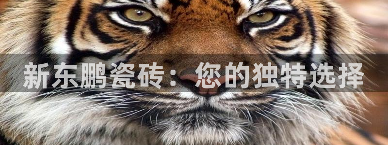 华润娱乐注册开户