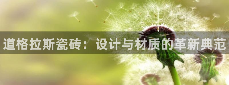 中国华润娱乐