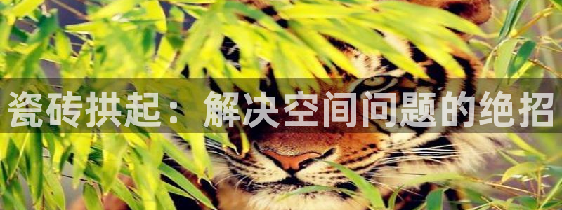 华润娱乐乃67五壹叁八