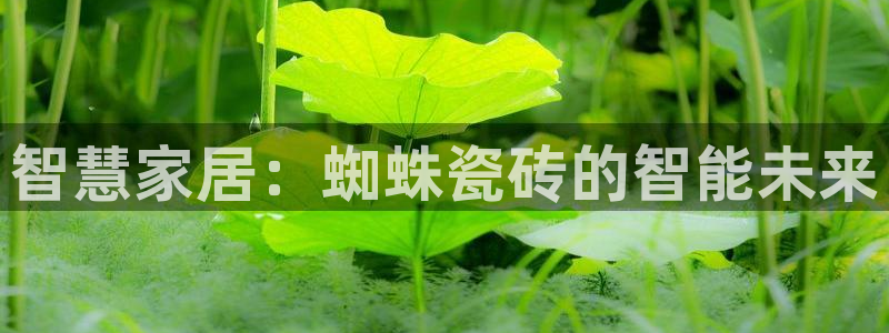 华润娱乐公司