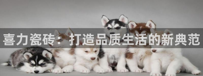 华润娱乐平台登
