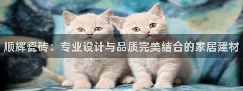 华润娱乐葳q675.138