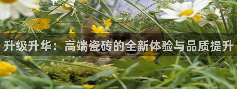 华润娱乐总代