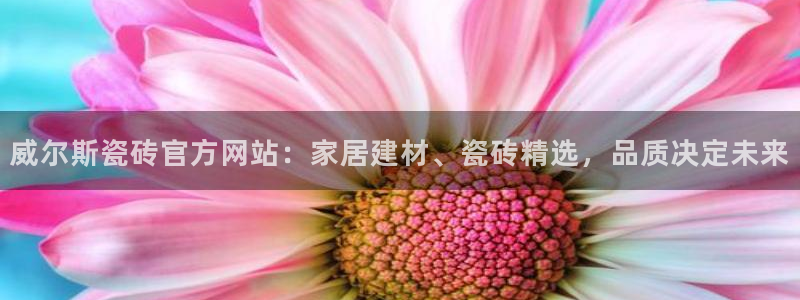 华润娱乐若七九九