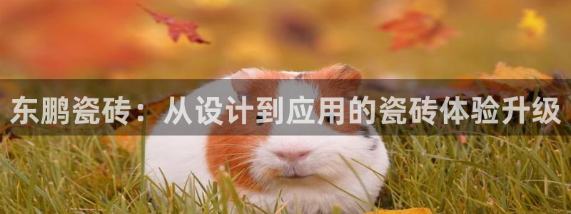 华润娱乐梅122222