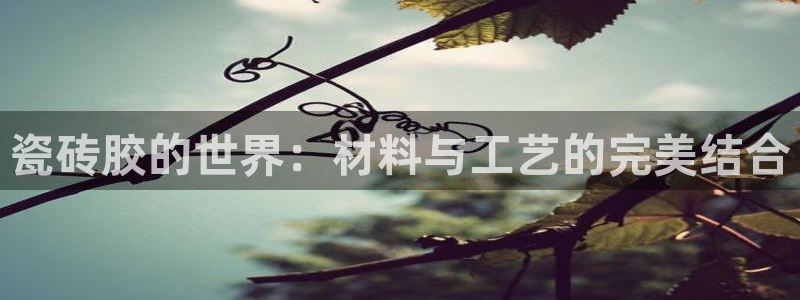 华润娱乐总管48793