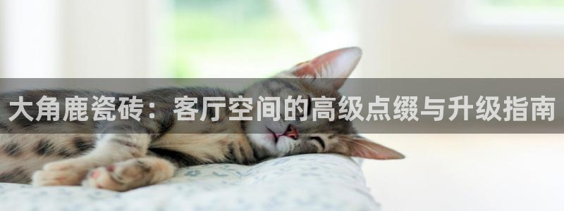 华润娱乐网站