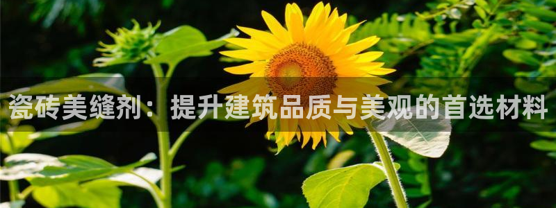 华润棋牌娱乐