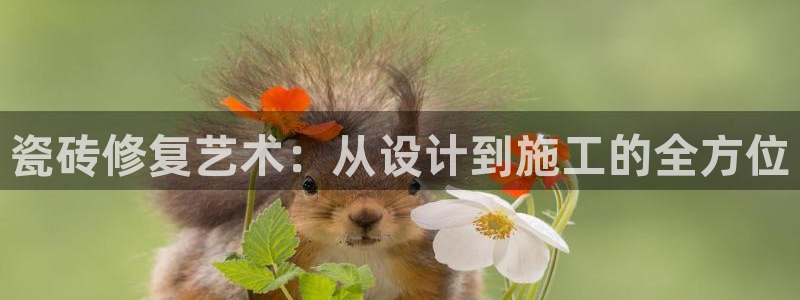 华润娱乐总管48793