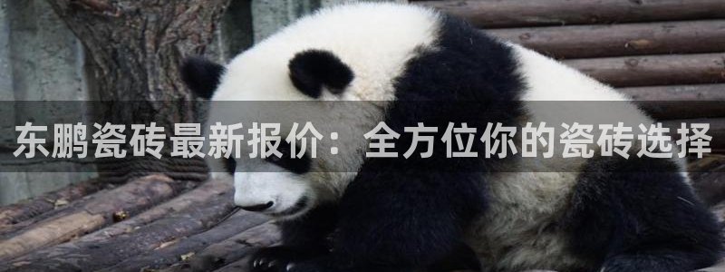 华润娱乐右7O667