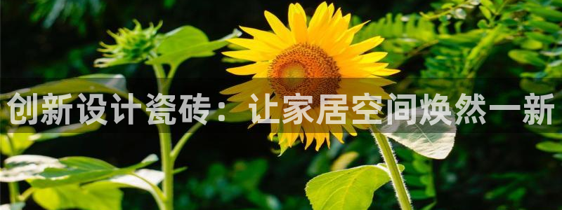 云顶娱乐华润