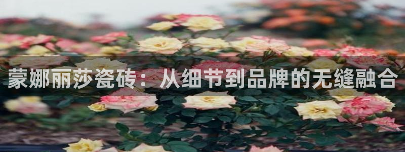 华润娱乐i3指尖