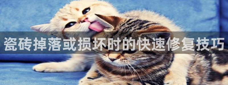 华润娱乐若七九九