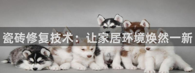 华润娱乐主管