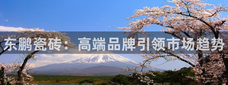 华润国际娱乐
