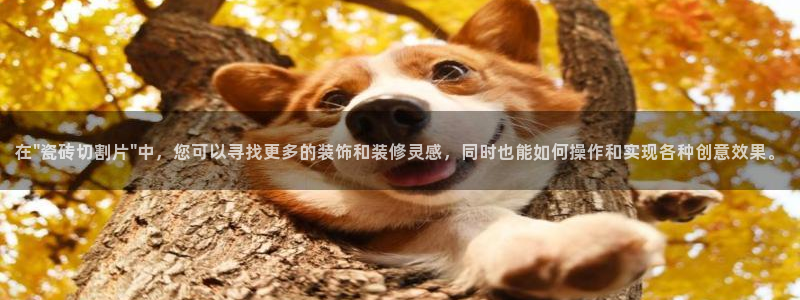华润娱乐19wa1指尖