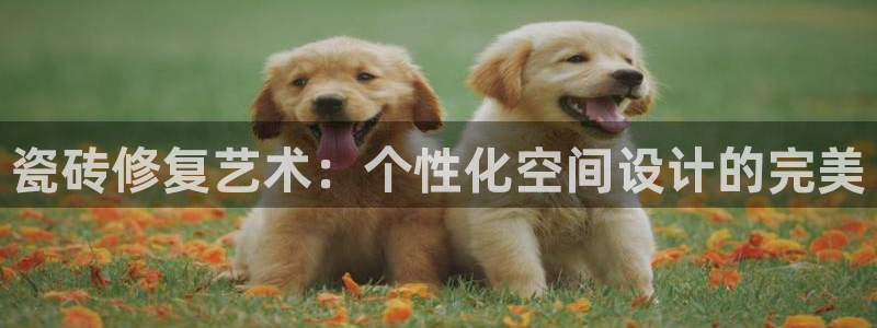 华润娱乐b3指尖