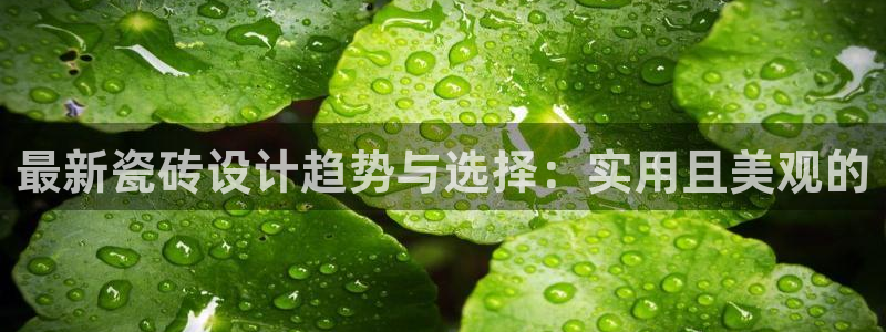 华润娱乐代理