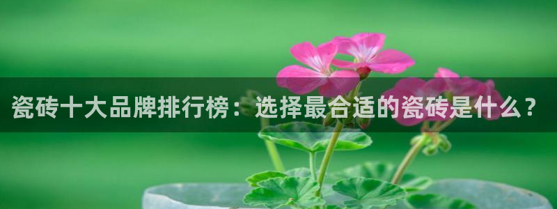 华润娱乐定