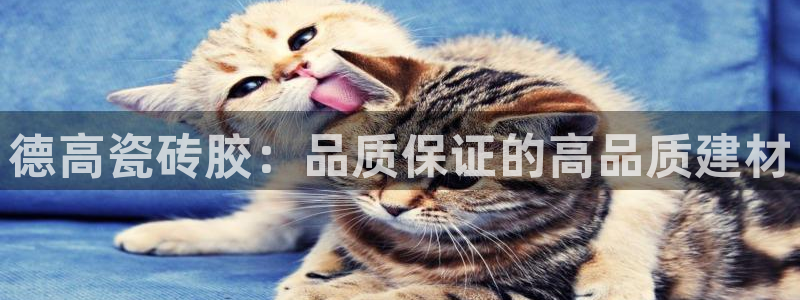 华润集团娱乐公司
