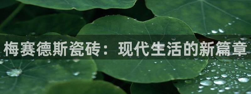 华润娱乐用
