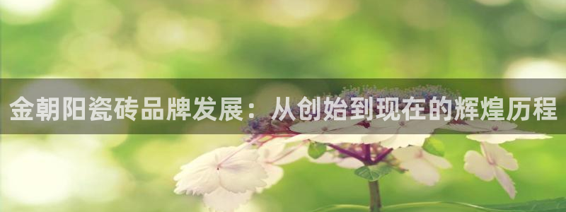 华润娱乐招商