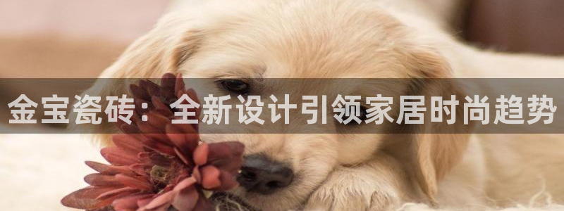 华润娱乐2853179Z空间