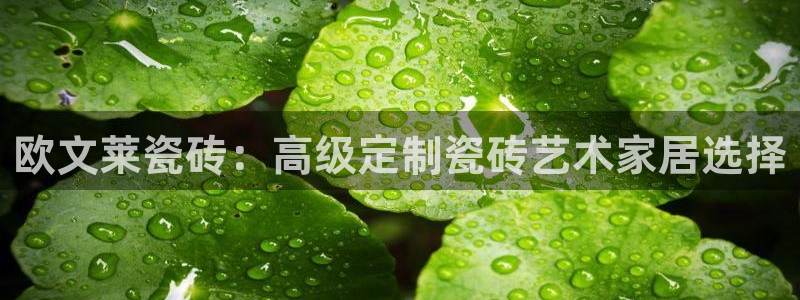 华润娱乐学