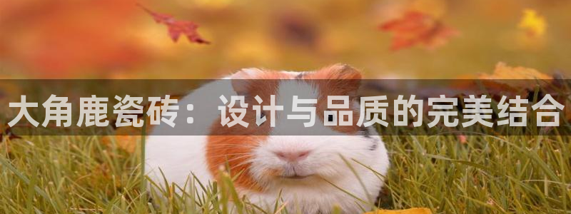 华润娱乐代理