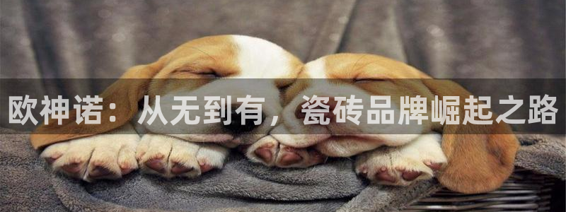 华润娱乐聪95692
