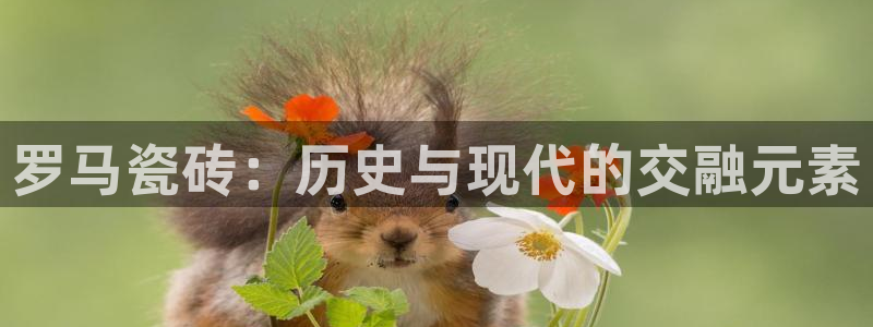 华润娱乐纫580583