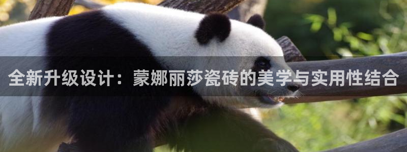 华润2娱乐平台登录