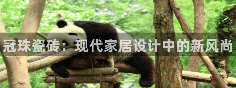 华润娱乐行政招聘面试