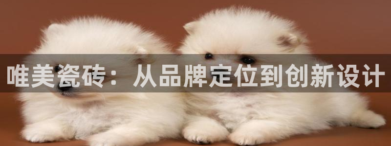 华润娱乐前5指尖