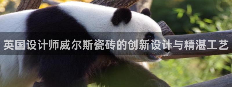 华润娱乐指尖可