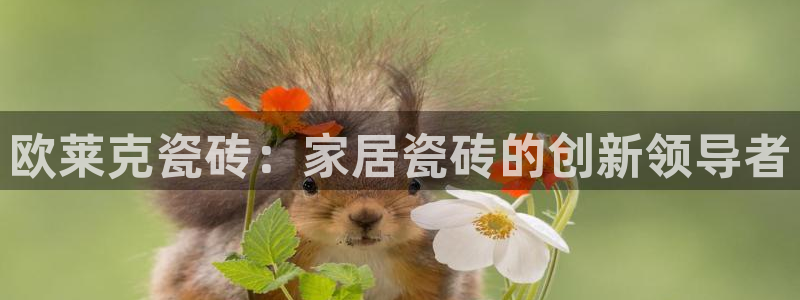 华润集团娱乐公司地址