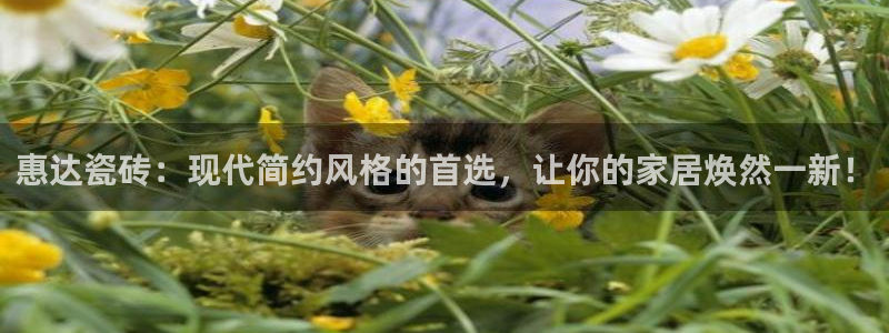 华润娱乐之95692