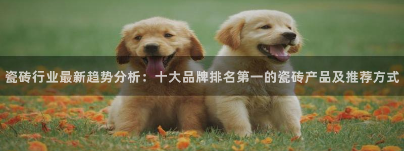 华润娱乐32二九01