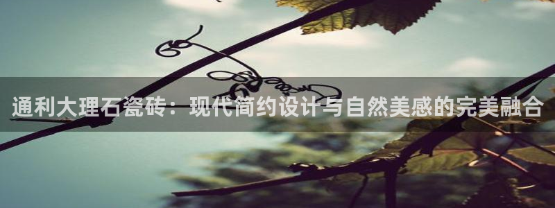 华润娱乐里